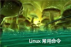 Linux 常用命令汇总（三）：查看文件 & 内容处理