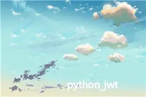 python_jwt，一个超酷的 Python 身份验证和授权库！