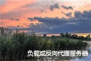 负载或反向代理服务器如何配置XFF以获取终端真实IP