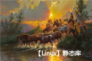 【Linux】静态库和共享库一分钟快速上手