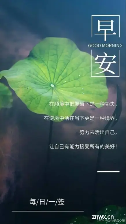 智能时代的伦理困境：如何应对AI引发的社会问题