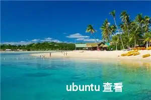 ubuntu 查看 ip地址