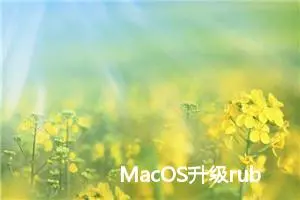 MacOS升级ruby版本