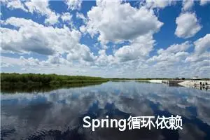 Spring循环依赖+案例解析 