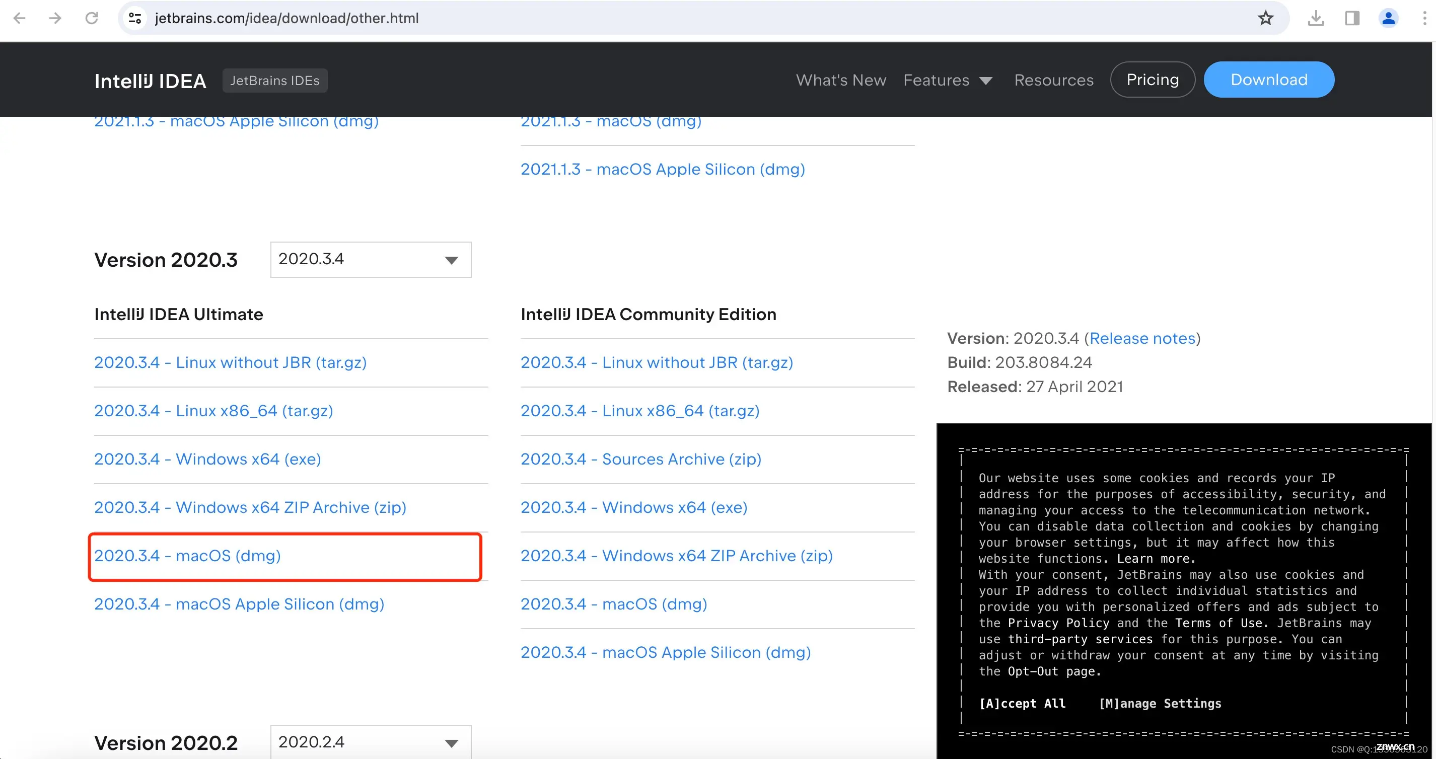 IDEA、webStorm 2020版破解教程（使用于Mac、windows）