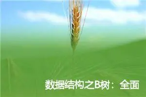 数据结构之B树：全面解析与实现