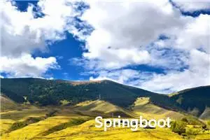 Springboot各版本与Java JDK的对应关系及JDK商用版本