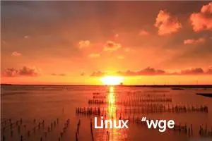 Linux “wget”命令详解