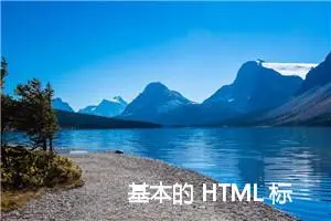 基本的 HTML 标签 