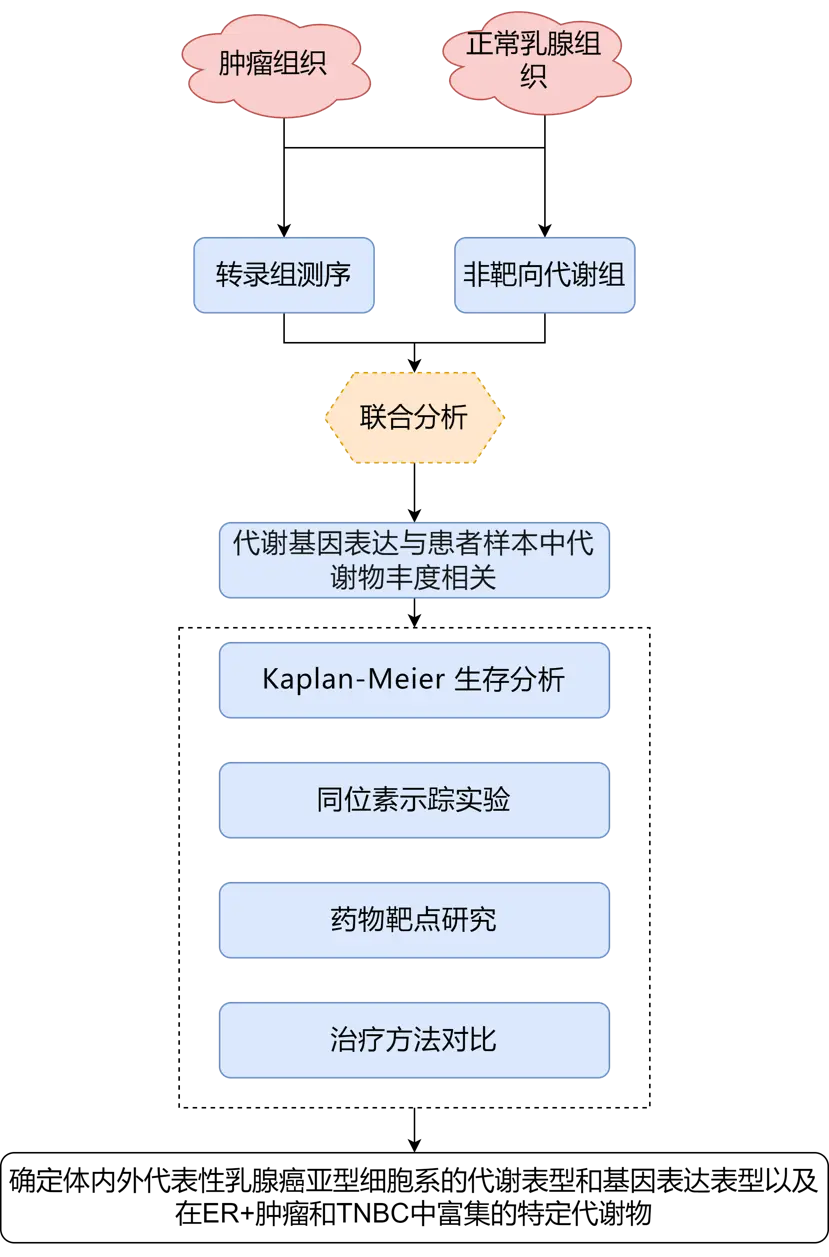 联合分析专题：带你了解转录组+代谢组联合分析在医学方向的研究思路