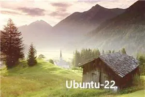 Ubuntu-22.04安装VMware虚拟机并安装Windows10