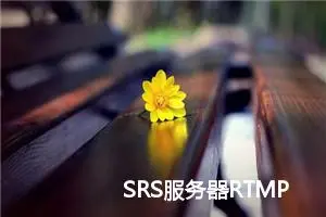 SRS服务器RTMP2WebRTC外网拉流配置