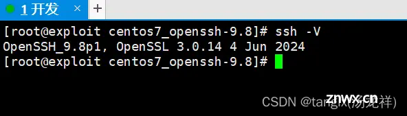 openssh9.8p1的rpm包