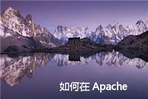 如何在 Apache Web 服务器中安装、配置和使用模块