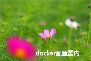 docker配置国内镜像源_docker国内镜像源，掌握这些网络安全开发热门前沿知识