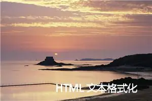 HTML 文本格式化 