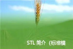 STL 简介（标准模板库）