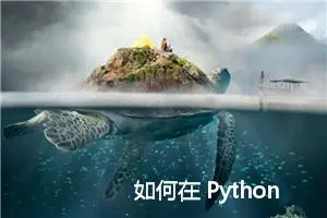 如何在 Python 中将语音转换为文本