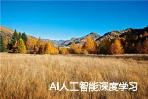 AI人工智能深度学习算法：在股市预测中的应用