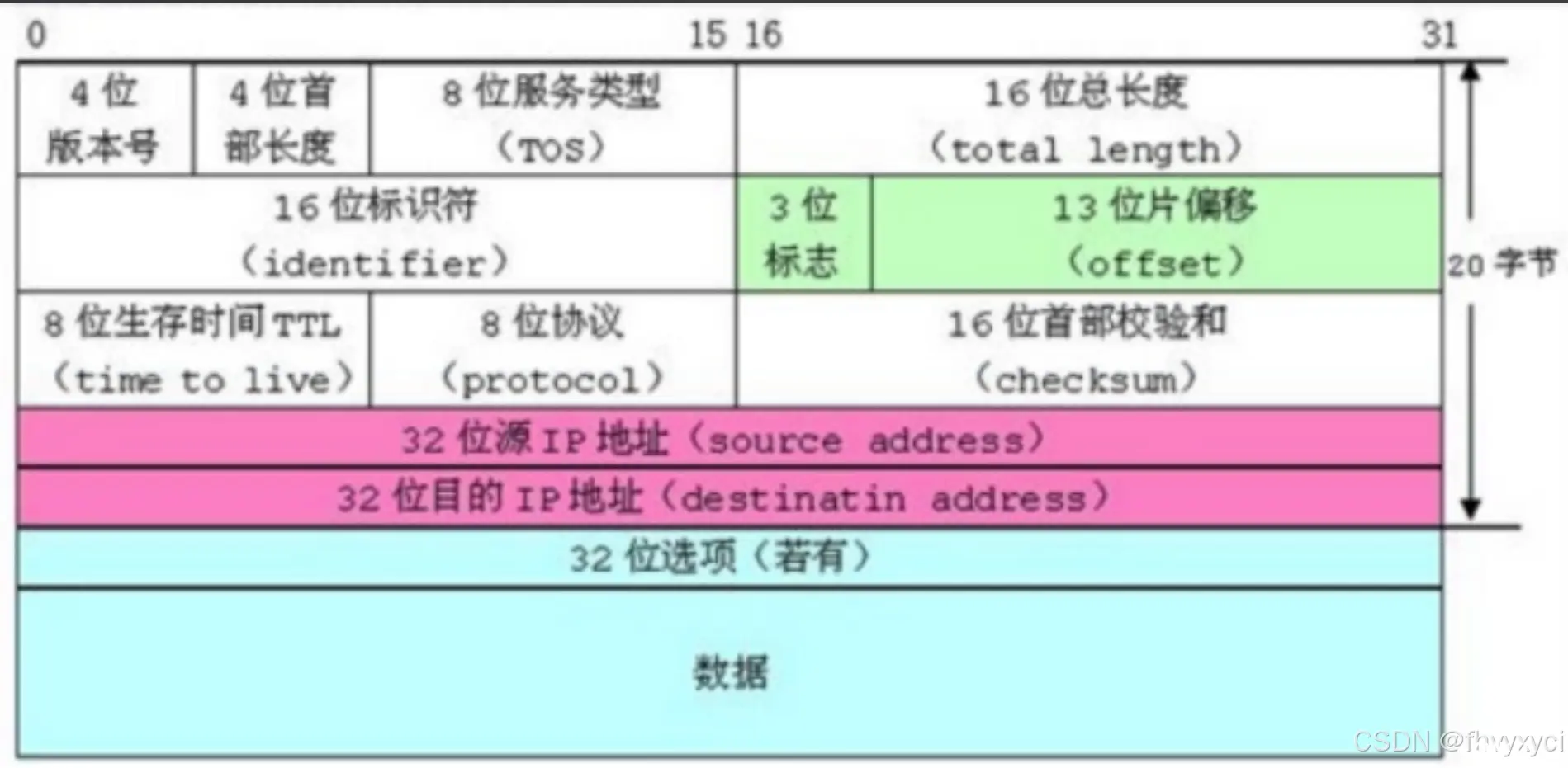 IP数据报