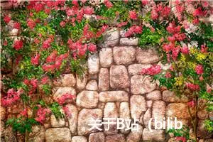 关于B站（bilibili）对未登录用户视频观看进行暂停和弹窗的分析与简单解决方案