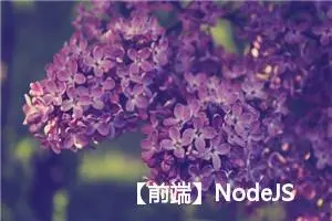 【前端】NodeJS：fs模块