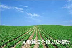 回溯算法介绍以及模板 