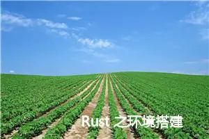 Rust 之环境搭建 