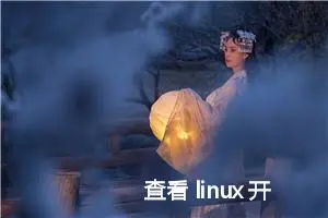 查看 linux 开放的端口