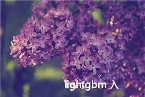 lightgbm 入门（下）【Datawhale AI夏令营】