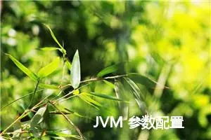 JVM 参数配置 