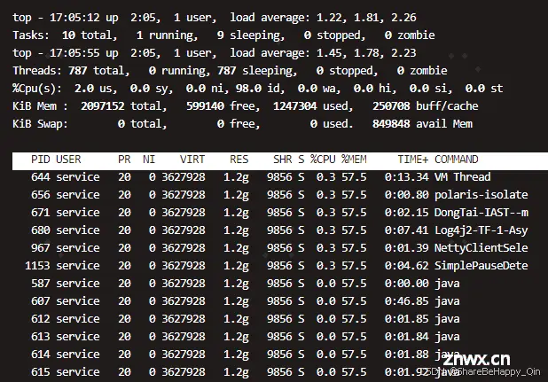 Linux 命令 —— top命令(查看进程资源占用)