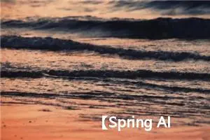 【Spring AI】05. 向量数据库