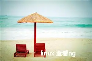 linux 查看nginx日志