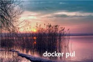 docker pull 等待时间久一直wait 或者 retry