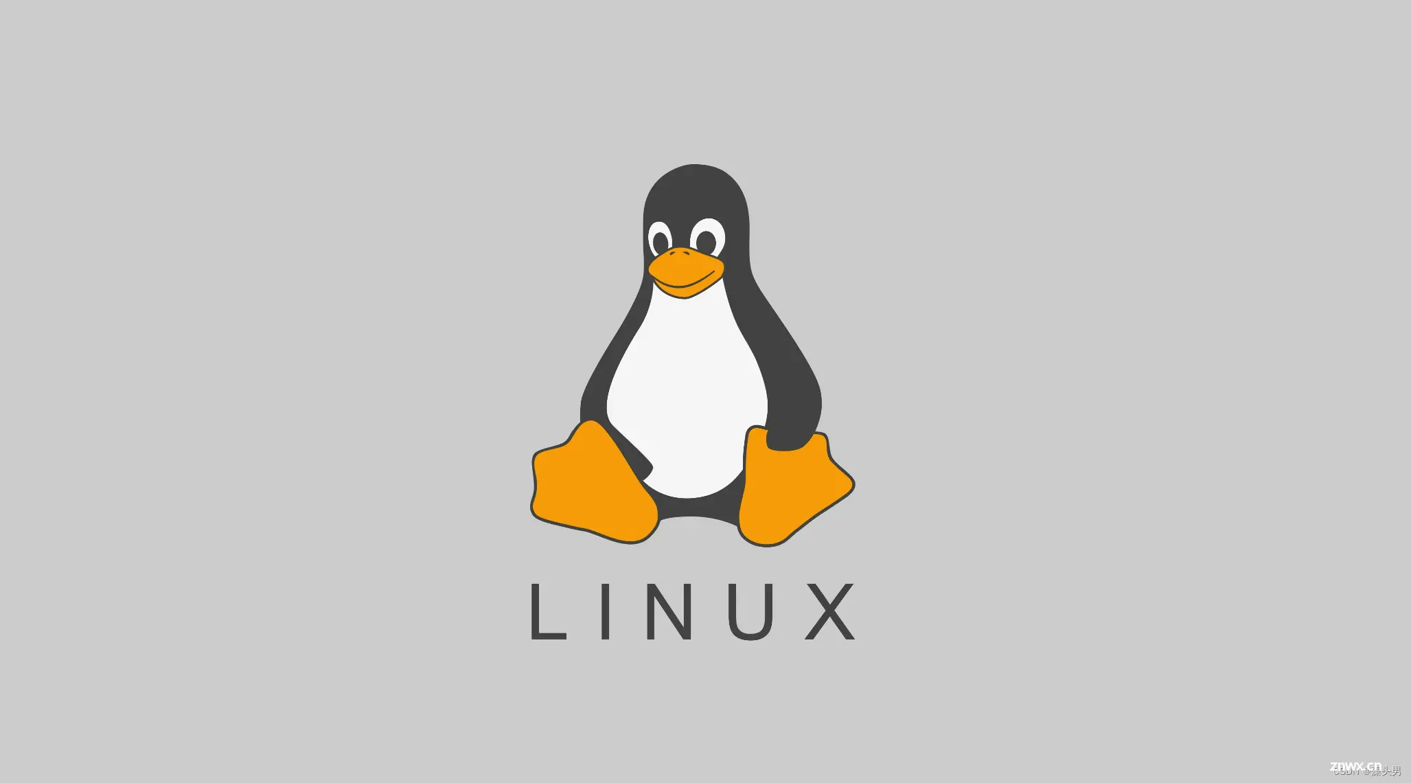 Linux数据库修改密码的三种方式