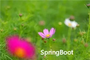 SpringBoot文档之Externalized Configuration的阅读笔记 