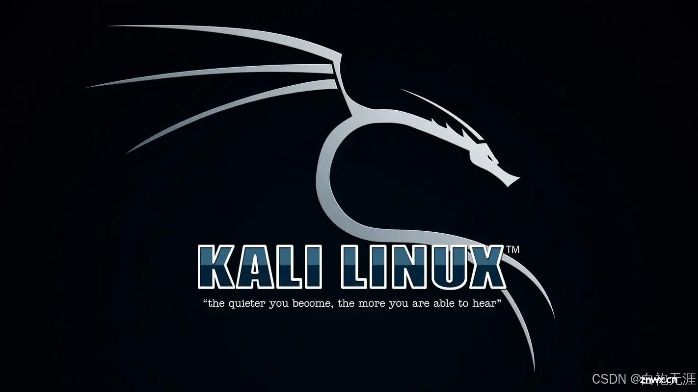 Kali Linux——网络安全的瑞士军刀