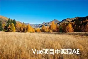 Vue项目中实现AES加密解密