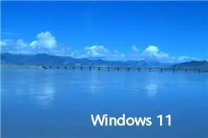 Windows 11 Web 开源项目安装与使用指南