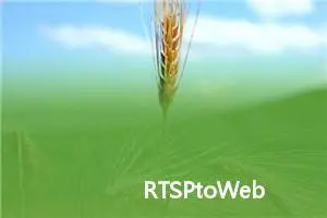 RTSPtoWeb 开源项目安装及使用指南