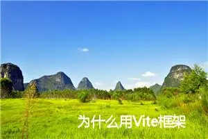 为什么用Vite框架？来看它的核心组件案例详解 