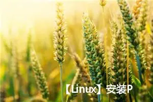 【Linux】安装Python3.11报错