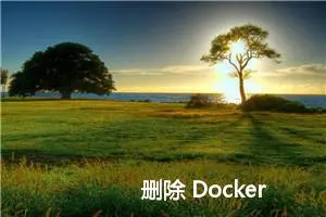 删除 Docker 容器的日志文件