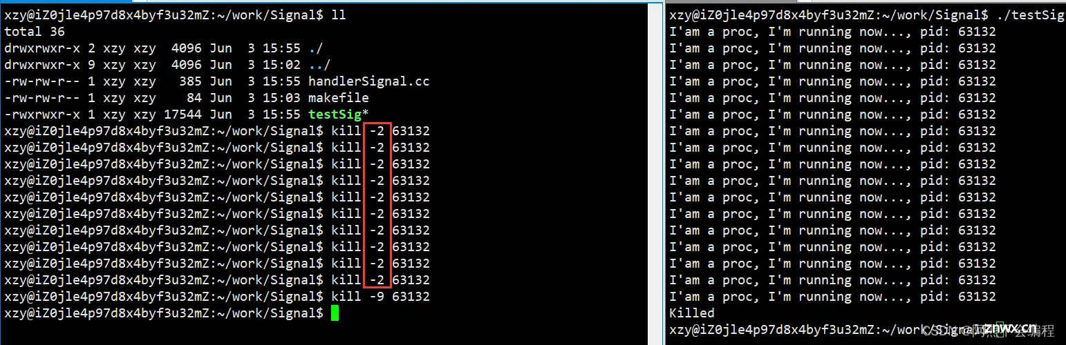 Linux之进程信号详解【上】