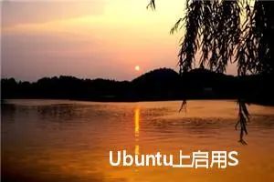 Ubuntu上启用SSH服务