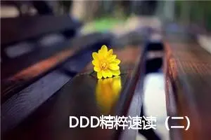 DDD精粹速读（二） 