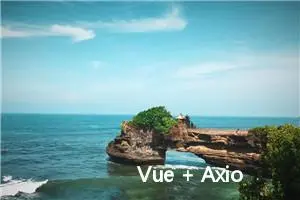 Vue + Axios全局接口防抖、节流封装实现，让你前端开发更高效