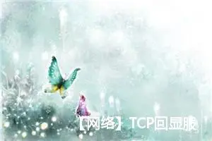 【网络】TCP回显服务器和客户端的构造，以及相关bug解决方法