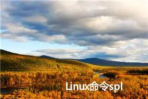 Linux命令split详解：大文件处理的得力助手